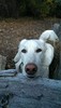 photo thumbnail #13