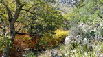 photo thumbnail #10