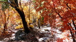photo thumbnail #13