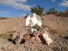 photo thumbnail #3