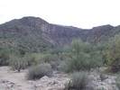 photo thumbnail #7