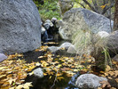 photo thumbnail #15