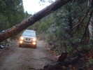 photo thumbnail #4