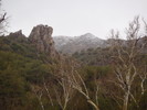 photo thumbnail #13