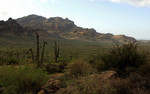 photo thumbnail #4