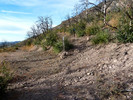 photo thumbnail #7