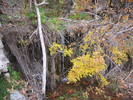 photo thumbnail #10