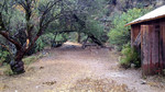 photo thumbnail #13