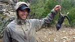 photo thumbnail #15