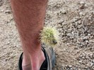 photo thumbnail #9