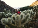 photo thumbnail #11