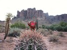 photo thumbnail #4