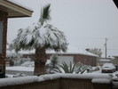 photo thumbnail #1