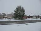 photo thumbnail #2