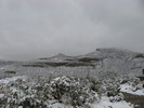 photo thumbnail #4