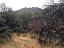 photo thumbnail #14