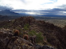 photo thumbnail #2