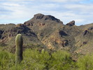 photo thumbnail #10