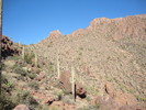 photo thumbnail #6