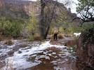 photo thumbnail #6
