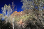 photo thumbnail #2