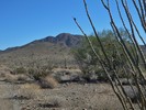 photo thumbnail #1