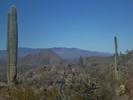 photo thumbnail #8