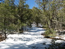 photo thumbnail #8