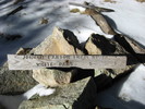 photo thumbnail #11