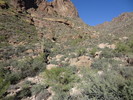 photo thumbnail #5