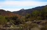 photo thumbnail #1