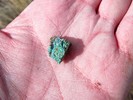 photo thumbnail #12