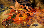 photo thumbnail #12