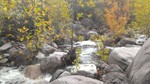 photo thumbnail #15