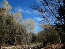 photo thumbnail #10