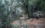 photo thumbnail #14