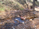 photo thumbnail #4
