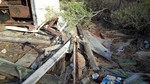 photo thumbnail #3