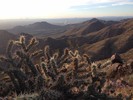 photo thumbnail #3