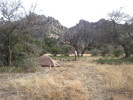 photo thumbnail #4