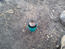 photo thumbnail #5