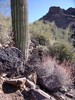 photo thumbnail #9