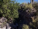 photo thumbnail #13