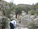 photo thumbnail #12