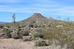 photo thumbnail #7