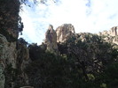 photo thumbnail #9