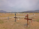 photo thumbnail #8