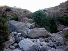 photo thumbnail #8