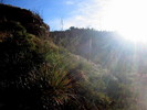 photo thumbnail #11