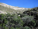 photo thumbnail #12